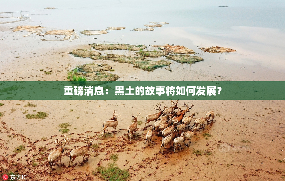 重磅消息：黑土的故事将如何发展？