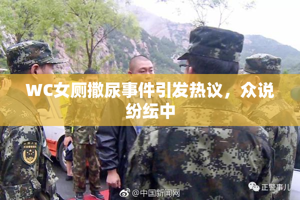 WC女厕撒尿事件引发热议，众说纷纭中