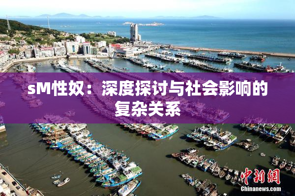 sM性奴：深度探讨与社会影响的复杂关系