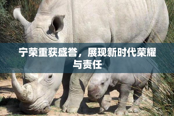 宁荣重获盛誉，展现新时代荣耀与责任