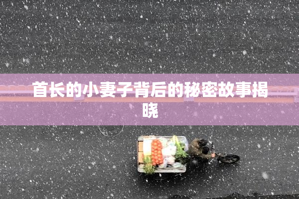 首长的小妻子背后的秘密故事揭晓