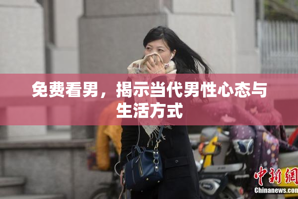 免费看男，揭示当代男性心态与生活方式