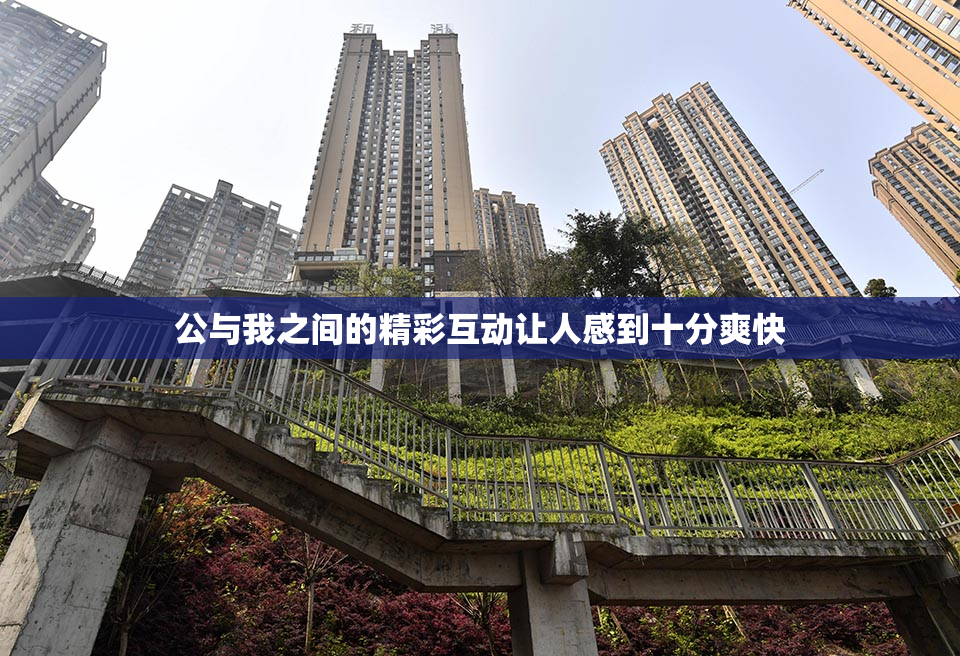 公与我之间的精彩互动让人感到十分爽快