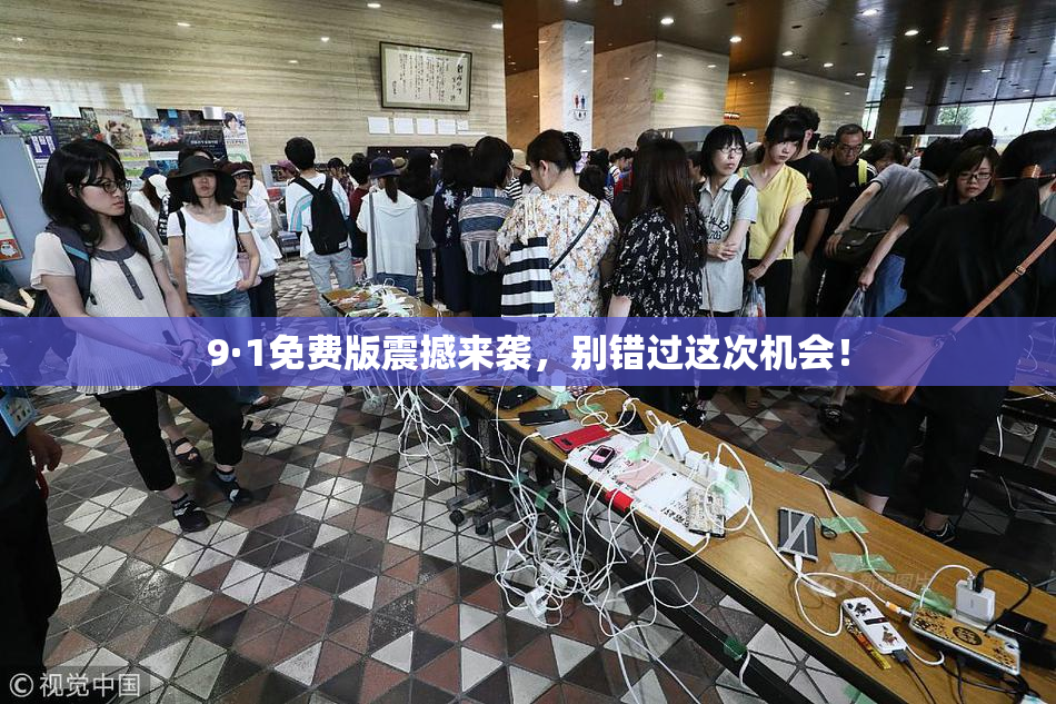 9·1免费版震撼来袭，别错过这次机会！