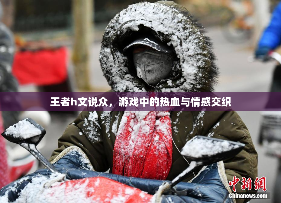 王者h文说众，游戏中的热血与情感交织