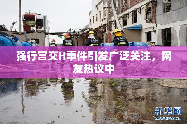强行宫交H事件引发广泛关注，网友热议中