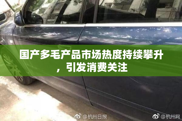 国产多毛产品市场热度持续攀升，引发消费关注