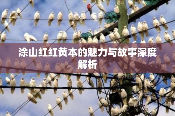 涂山红红黄本的魅力与故事深度解析