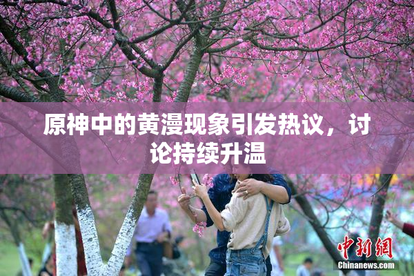 原神中的黄漫现象引发热议，讨论持续升温