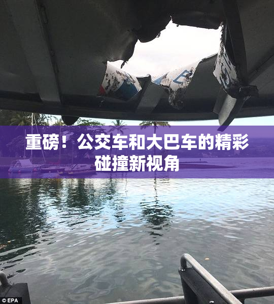重磅！公交车和大巴车的精彩碰撞新视角