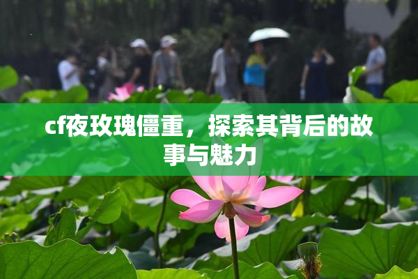 cf夜玫瑰僵重，探索其背后的故事与魅力