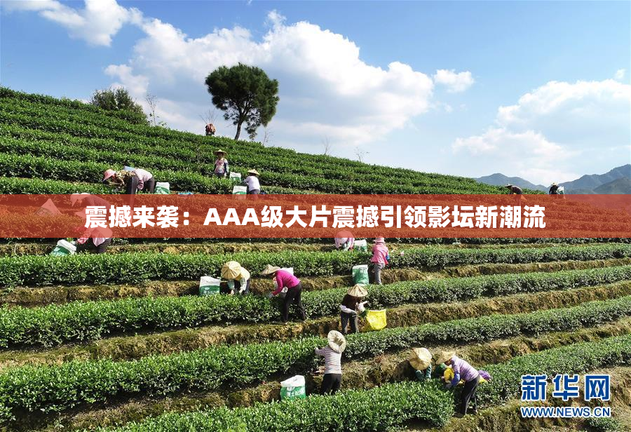 震撼来袭：AAA级大片震撼引领影坛新潮流