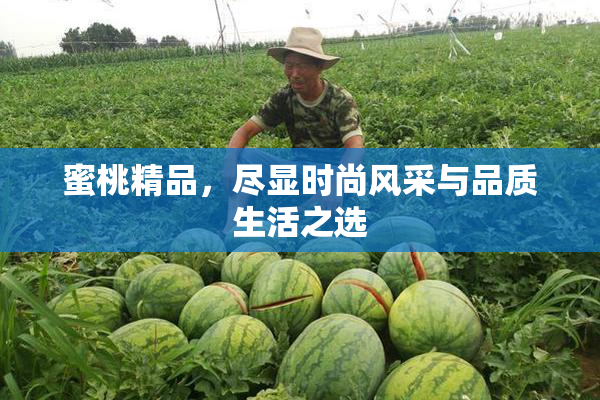 蜜桃精品，尽显时尚风采与品质生活之选