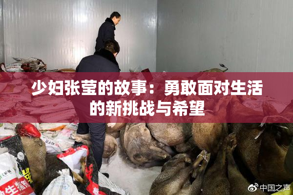 少妇张莹的故事：勇敢面对生活的新挑战与希望