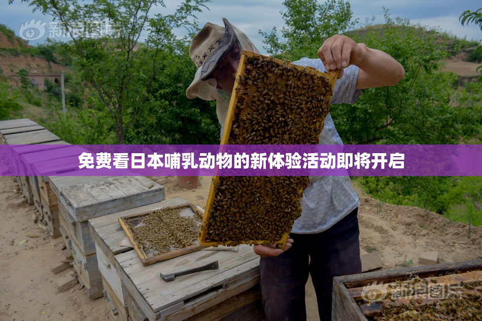 免费看日本哺乳动物的新体验活动即将开启