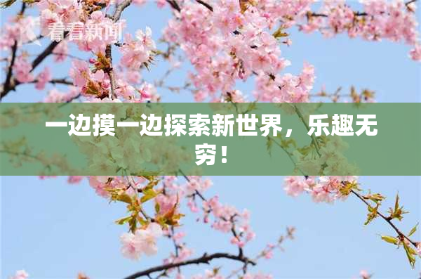 一边摸一边探索新世界，乐趣无穷！