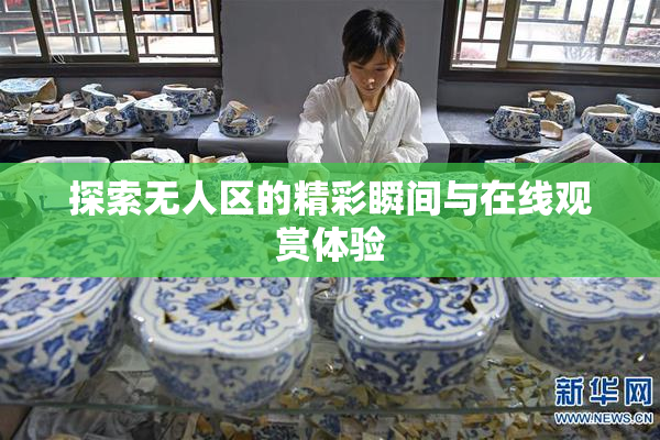 探索无人区的精彩瞬间与在线观赏体验