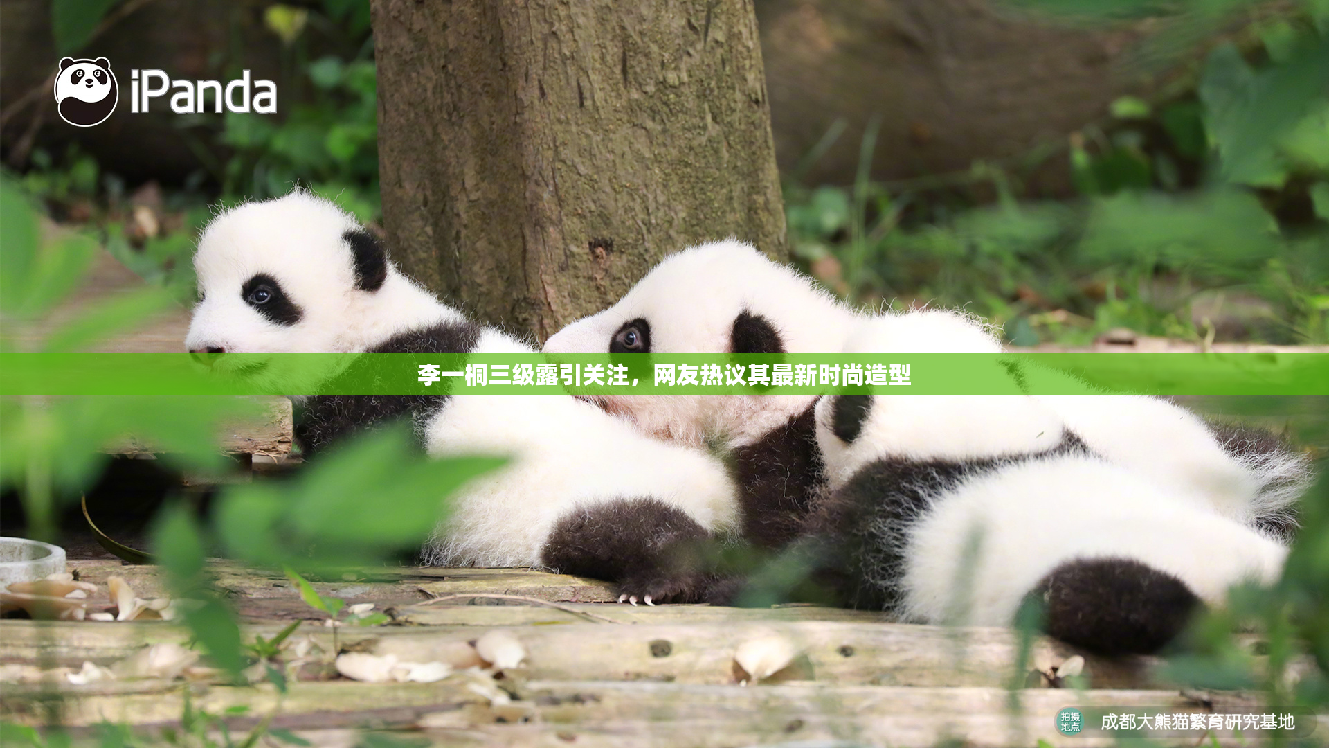 李一桐三级露引关注，网友热议其最新时尚造型