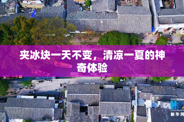 夹冰块一天不变，清凉一夏的神奇体验