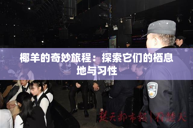 椰羊的奇妙旅程：探索它们的栖息地与习性