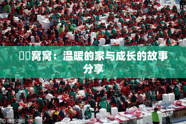 妺妺窝窝：温暖的家与成长的故事分享