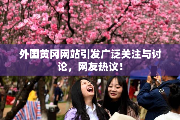 外国黄冈网站引发广泛关注与讨论，网友热议！
