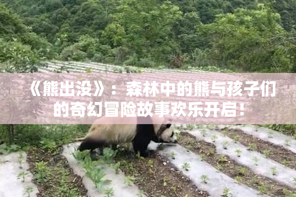 《熊出没》：森林中的熊与孩子们的奇幻冒险故事欢乐开启！