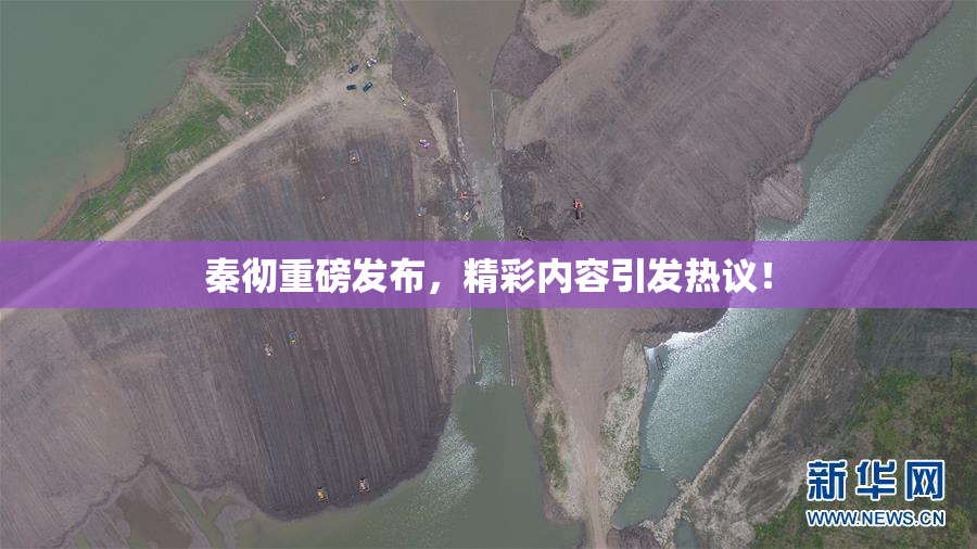 秦彻重磅发布，精彩内容引发热议！