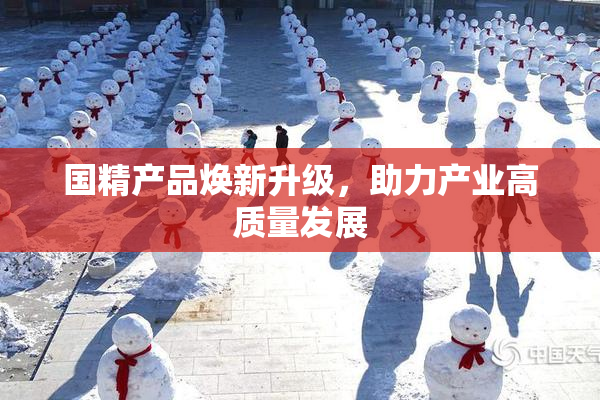 国精产品焕新升级，助力产业高质量发展