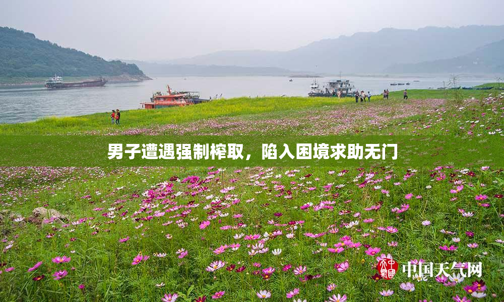 男子遭遇强制榨取，陷入困境求助无门