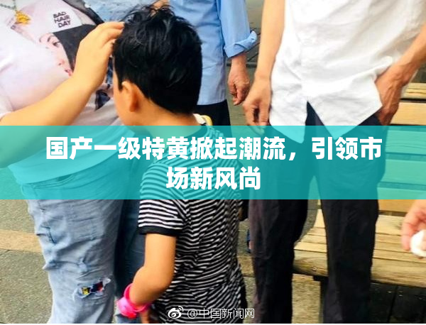 国产一级特黄掀起潮流，引领市场新风尚