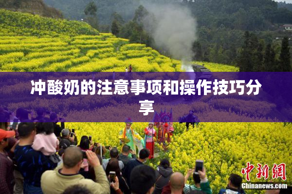 冲酸奶的注意事项和操作技巧分享