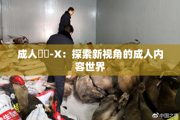 成人視頻-X：探索新视角的成人内容世界