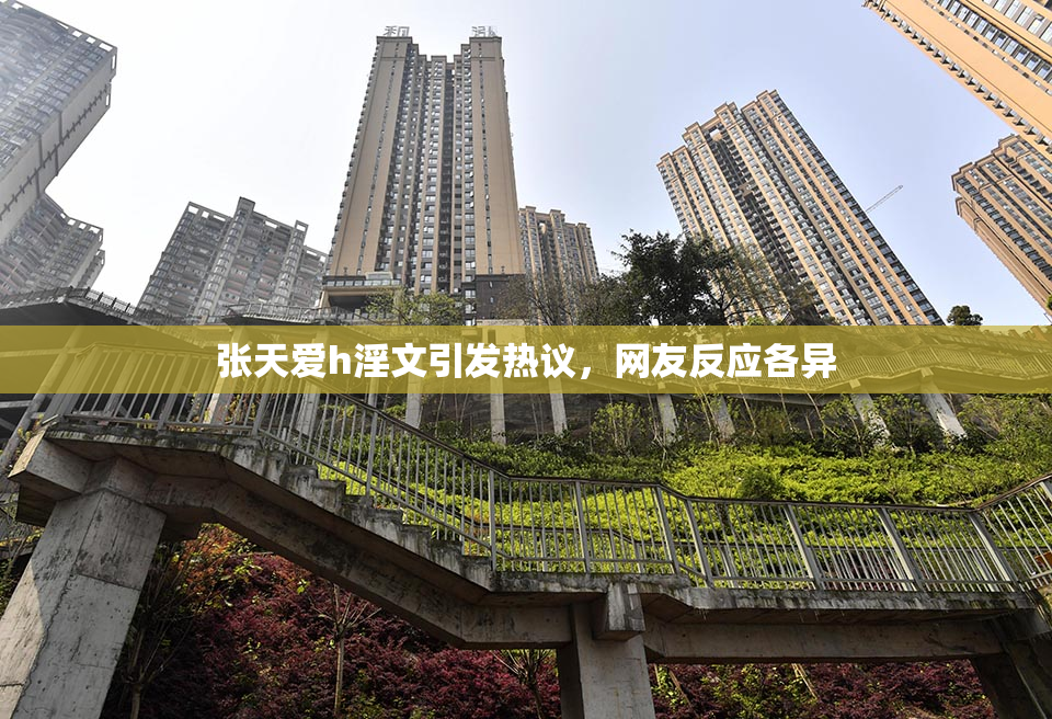 张天爱h淫文引发热议，网友反应各异