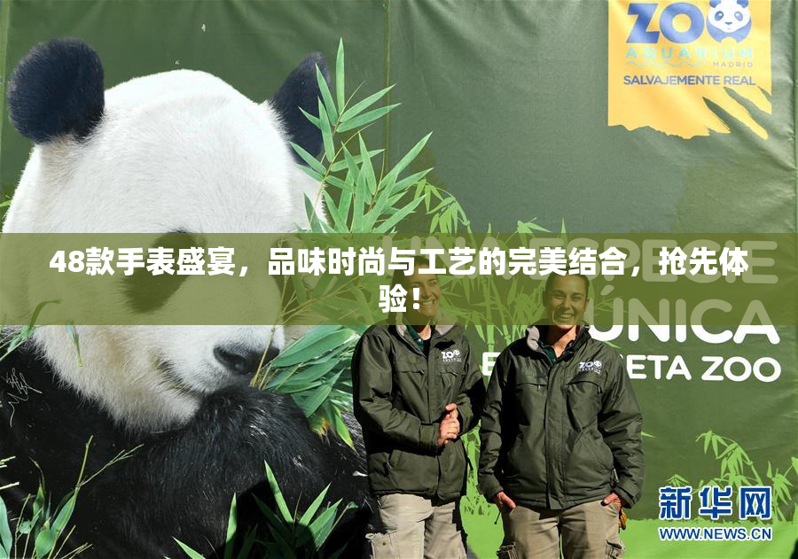 48款手表盛宴，品味时尚与工艺的完美结合，抢先体验！