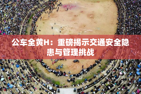 公车全黄H：重磅揭示交通安全隐患与管理挑战