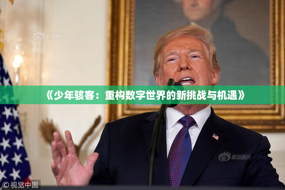 《少年骇客：重构数字世界的新挑战与机遇》