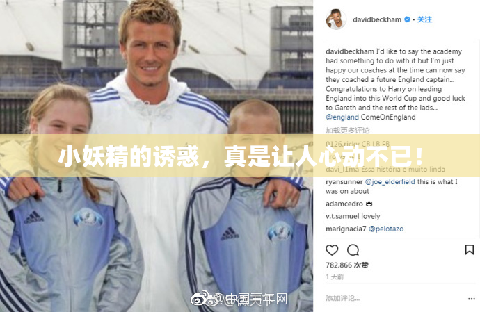 小妖精的诱惑，真是让人心动不已！