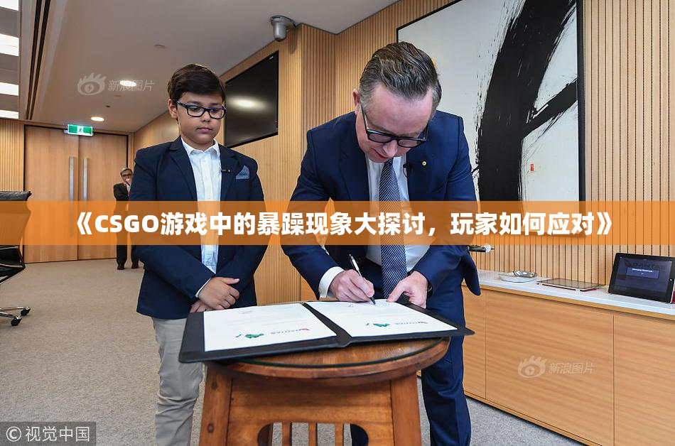 《CSGO游戏中的暴躁现象大探讨，玩家如何应对》