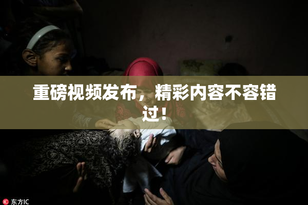 重磅视频发布，精彩内容不容错过！
