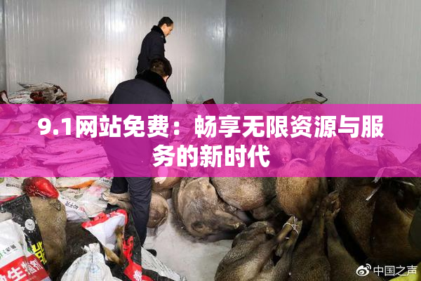 9.1网站免费：畅享无限资源与服务的新时代