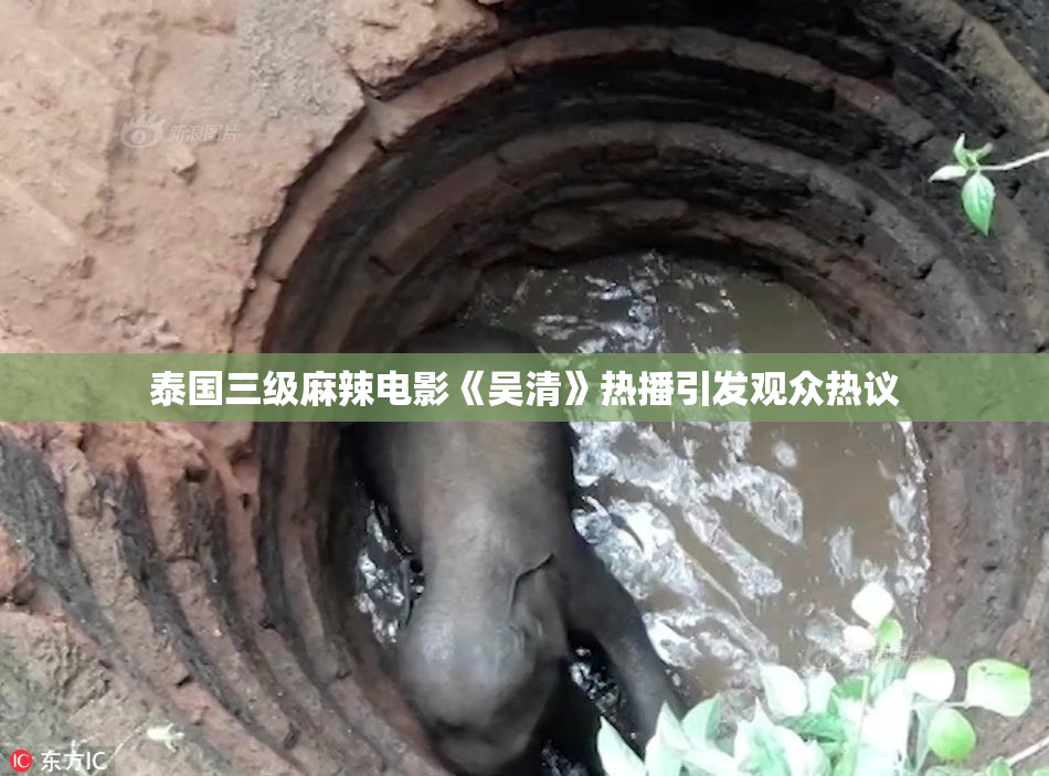泰国三级麻辣电影《吴清》热播引发观众热议