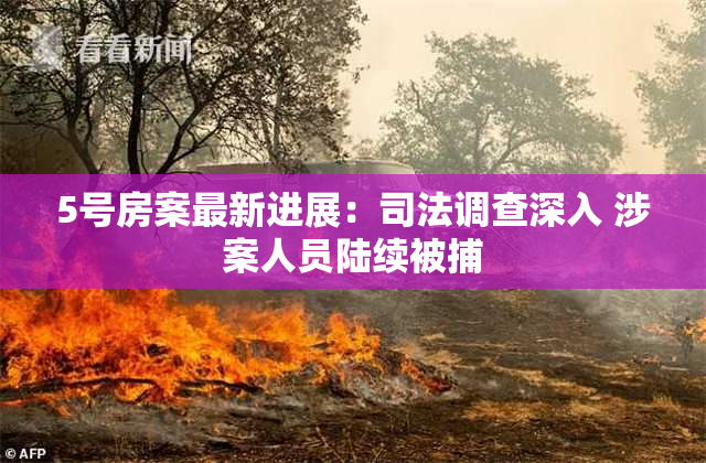 5号房案最新进展：司法调查深入 涉案人员陆续被捕