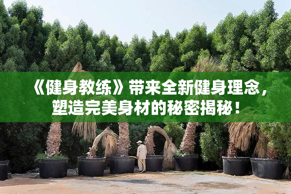 《健身教练》带来全新健身理念，塑造完美身材的秘密揭秘！