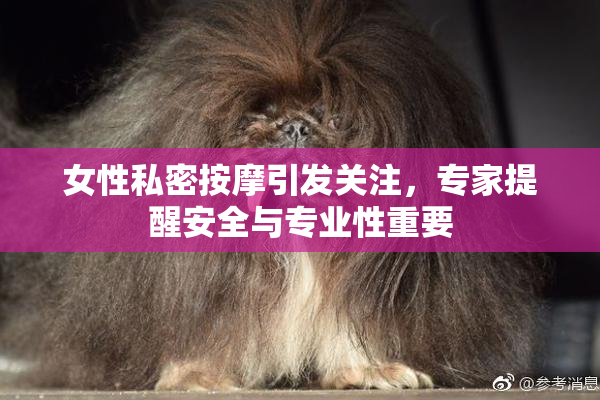 女性私密按摩引发关注，专家提醒安全与专业性重要