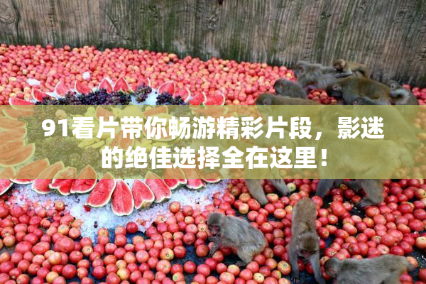 91看片带你畅游精彩片段，影迷的绝佳选择全在这里！
