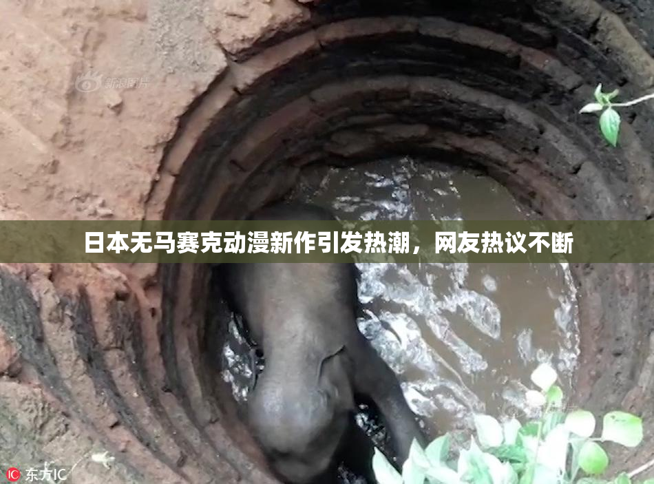 日本无马赛克动漫新作引发热潮，网友热议不断