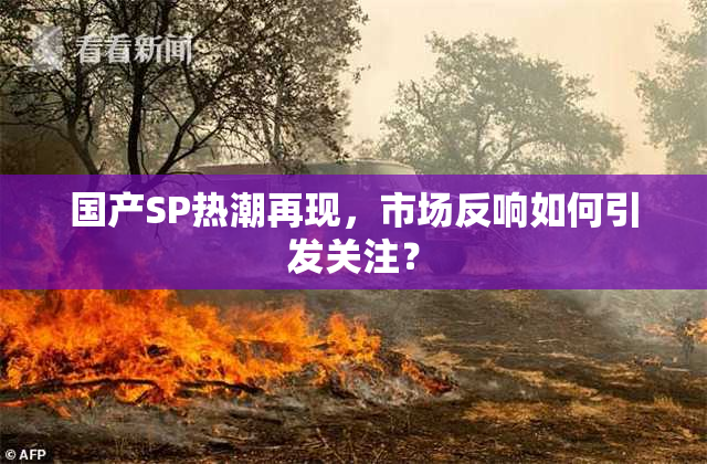 国产SP热潮再现，市场反响如何引发关注？