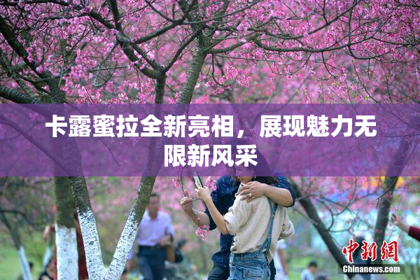 卡露蜜拉全新亮相，展现魅力无限新风采
