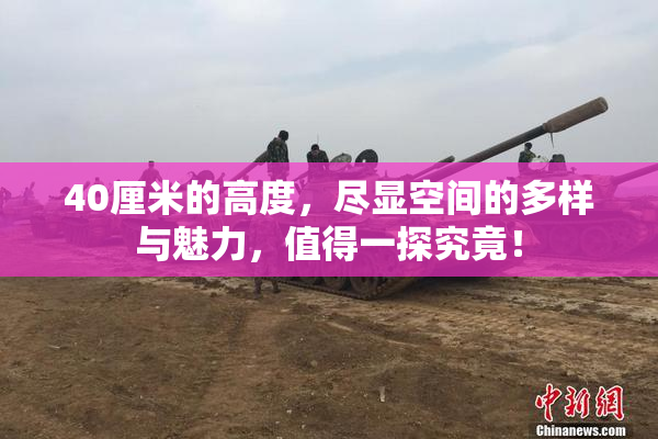 40厘米的高度，尽显空间的多样与魅力，值得一探究竟！